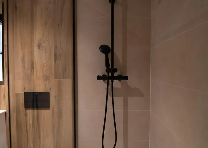 Paseo Zorrilla 8 Coliving Valladolid